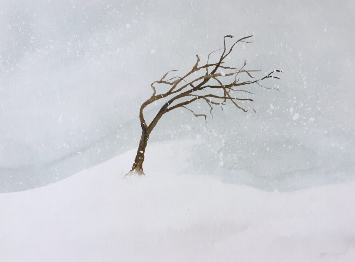 Watercolor: a windswept tree leaning in a blizzard